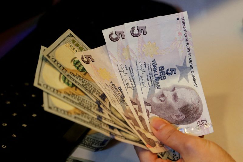 Turkey's state banks boosted lira rally after Erdogan rescue plan -four sources