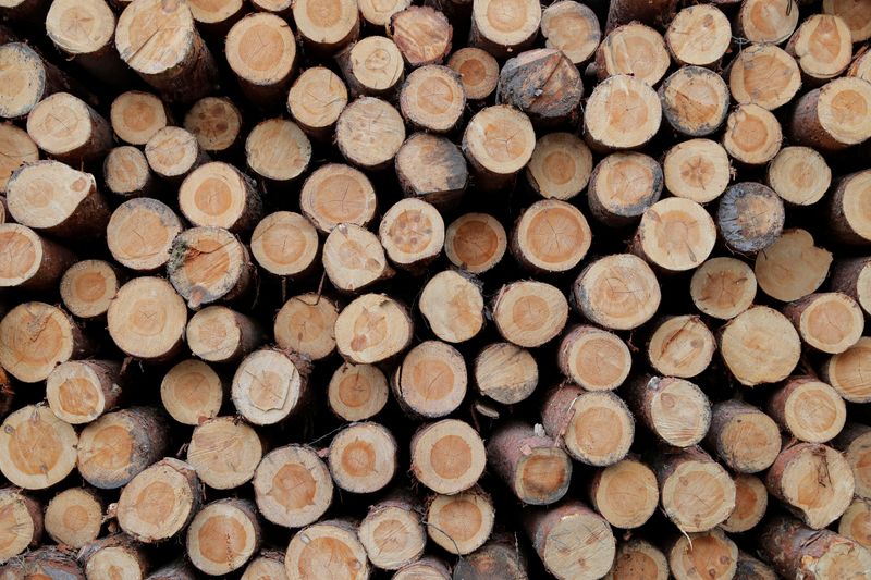 A third of commodity-hungry firms have no deforestation policy - report