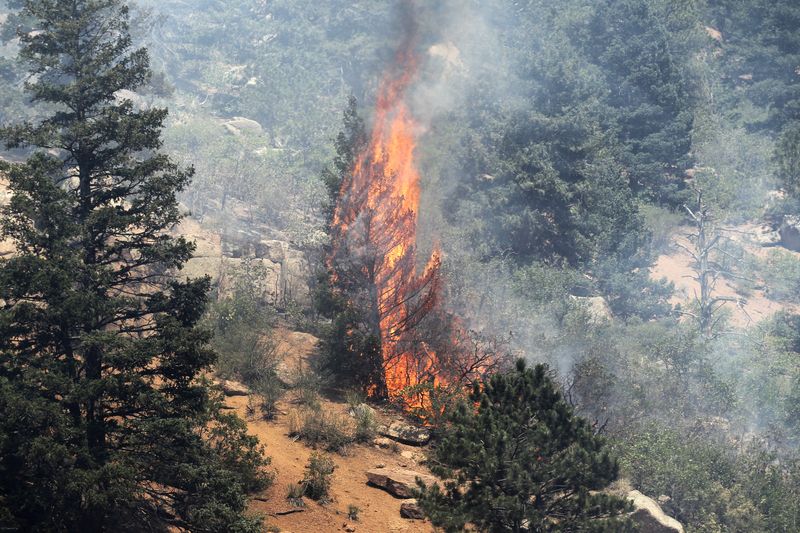 Biden administration unveils plan to combat worsening US wildfires