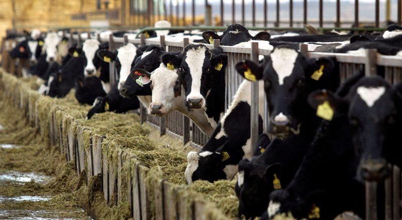 Biden spending bill ignites debate over dairy methane pollution