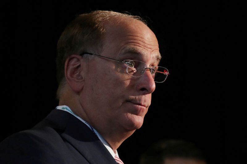 BlackRock's Fink defends push for companies to value more than profits