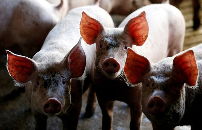 Brazil faces another year of high food inflation due to drought