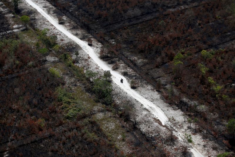 Indonesia 2019 forest fire destruction far worse than official estimate - study