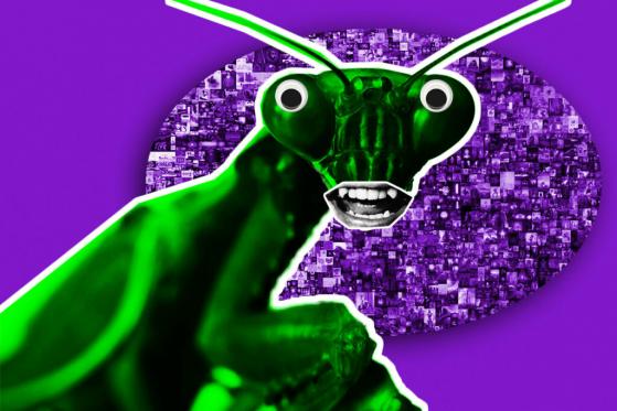 Opensea Bug Opened Door for Sneaky Shoppers to Snag $1 Million in NFTs for a Steal
