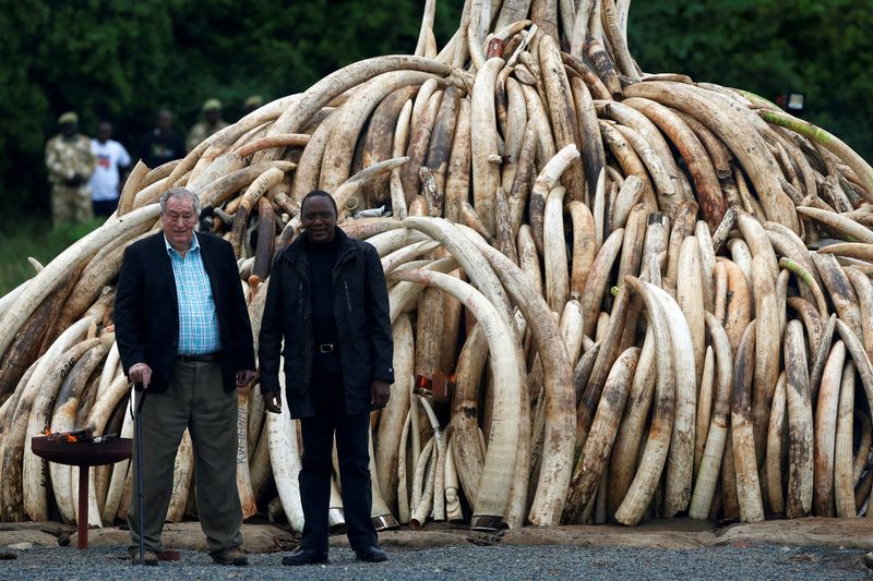 Richard Leakey, Kenyan conservationist who campaigned against ivory trade, has died