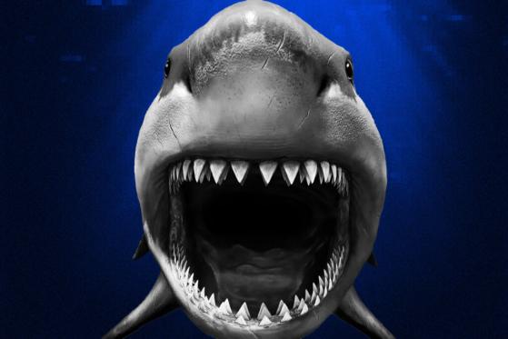 StarSharks, the Binance-backed Shark Metaverse, Launches its First Turn-based Card Game : StarSharks.Warriors