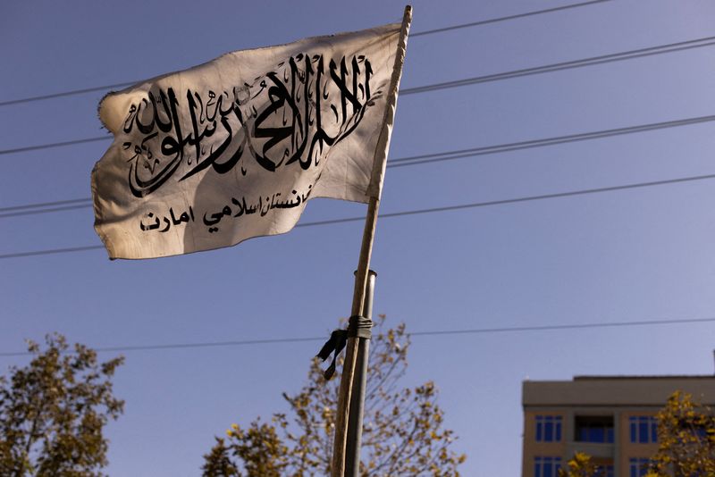 Taliban increase payment in wheat as economic crisis deepens