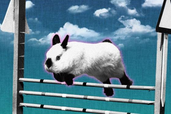 This Altcoin – NOT Dogecoin or Shiba Inu – Jumped 1,344% in 2021