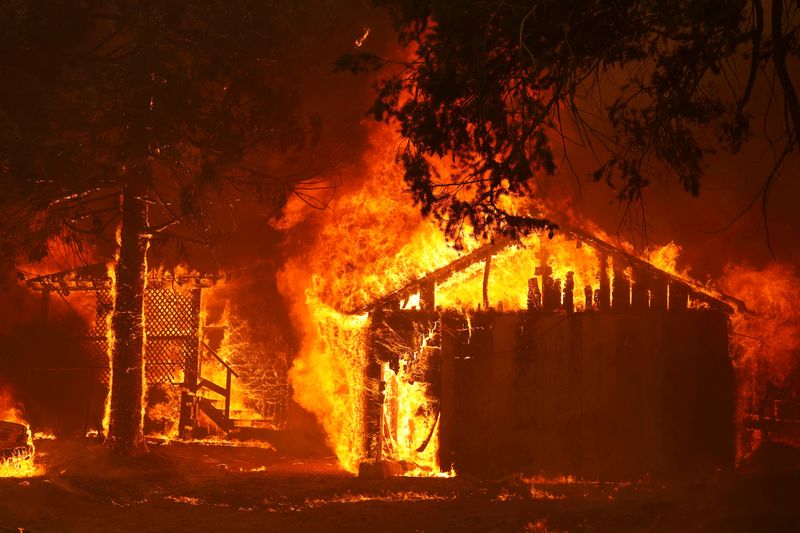 Tree touching PG&E power line sparked California's Dixie wildfire, investigation finds