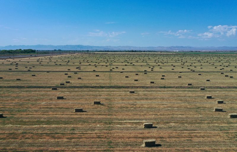 U.S. crop insurance payouts rise sharply as climate change worsens droughts, floods