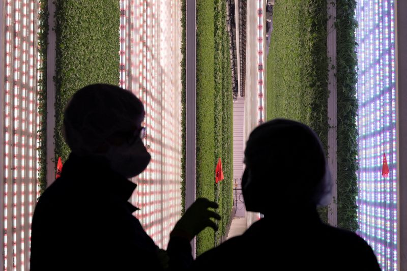 U.S. indoor vertical farm Plenty gets big injection of cash and Walmart deal