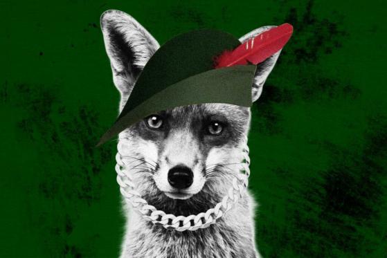 Will Shiba Inu List on Robinhood in February? Here’s What We Know