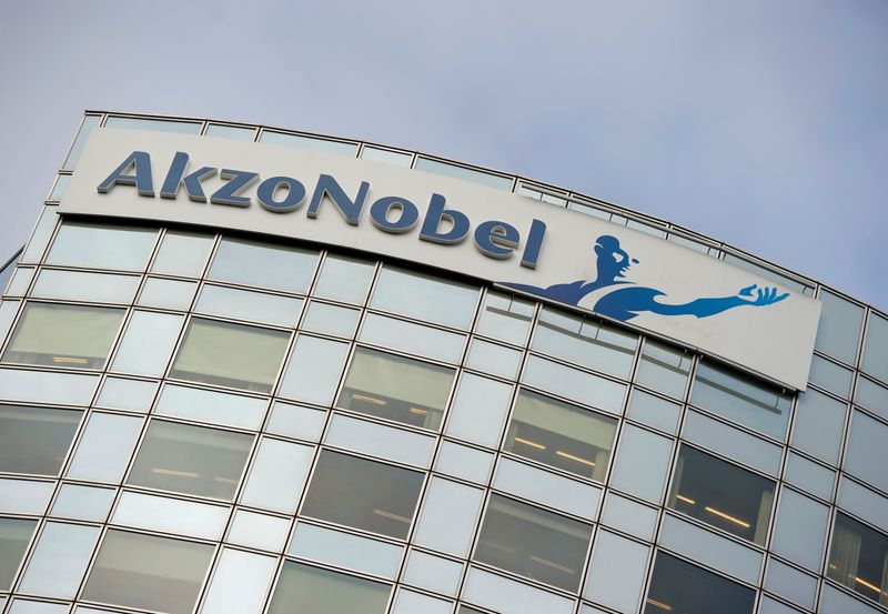 Akzo Nobel misses Q4 core profit forecast due to raw material costs
