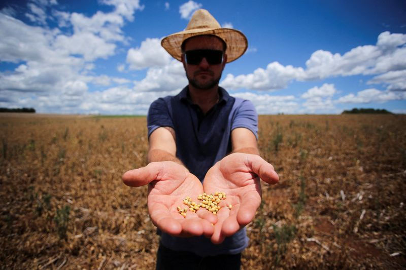 Brazil’s expected soy crop losses already a modern era record -Braun