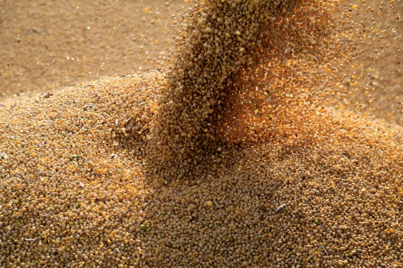 Bunge quarterly profit rises 17% on agribusiness boost