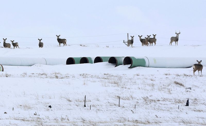 Canada's Alberta province files trade challenge over scrapped Keystone XL pipeline