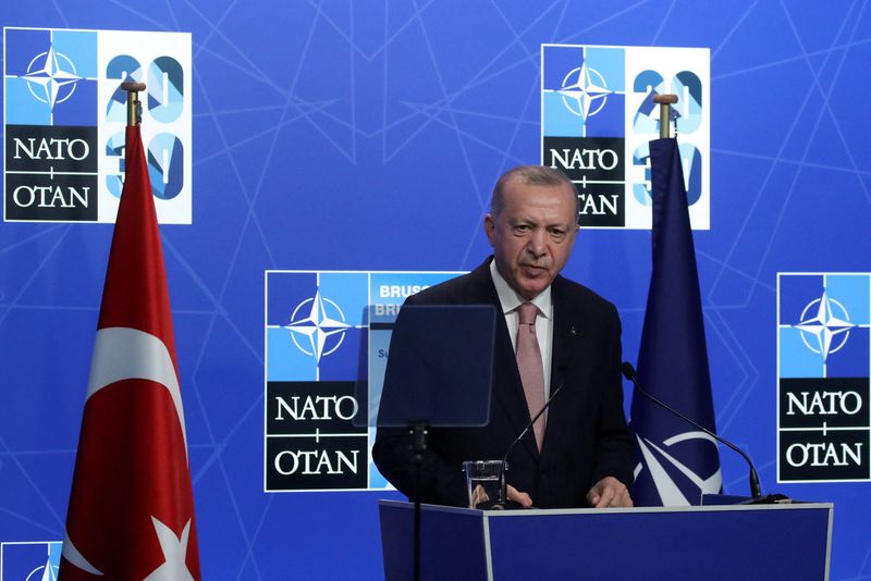 Erdogan says Turkey cannot abandon ties with Russia or Ukraine