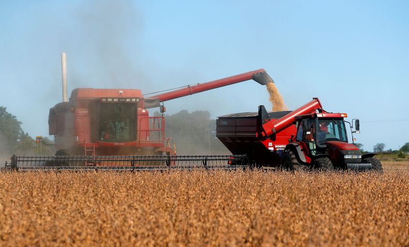 Exclusive-India makes record U.S. soyoil purchases as drought parches South America