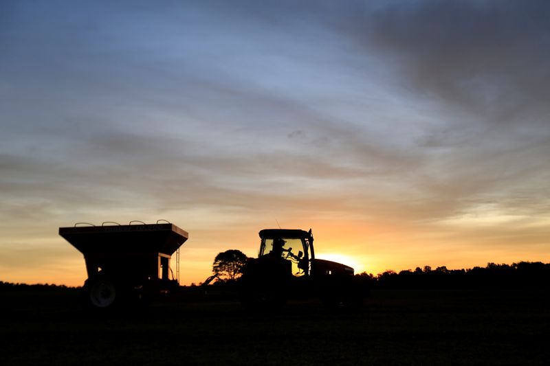 Exclusive-Paraguay soy crushers, hit by drought, risk running out of beans