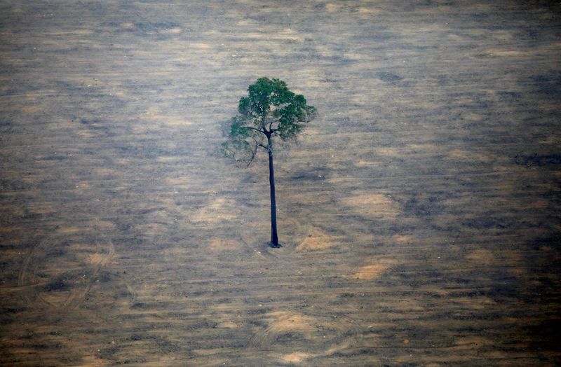 Extreme wildfires are here to stay - and multiply