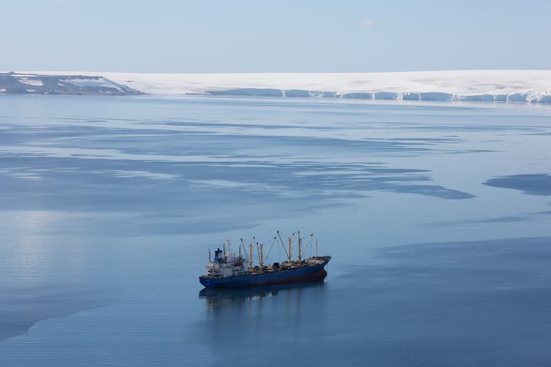 In Antarctica, does a burgeoning krill fishery threaten wildlife?