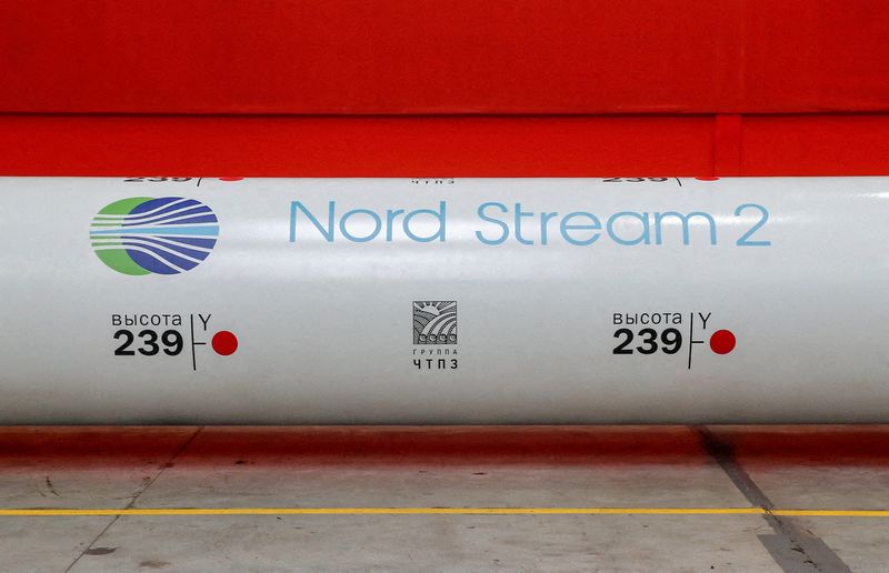 Reaction to German decision to halt Nord Stream 2 approval
