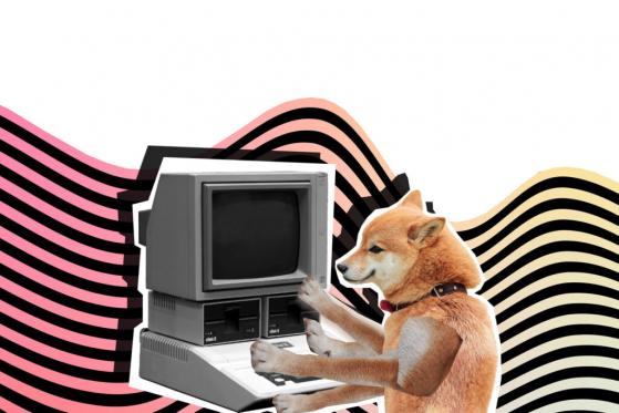 Shibarium Public Testnet to Go Live “Very Soon”