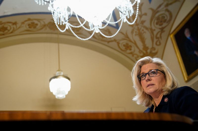 Top U.S. House Republican endorses Cheney challenger in party primary