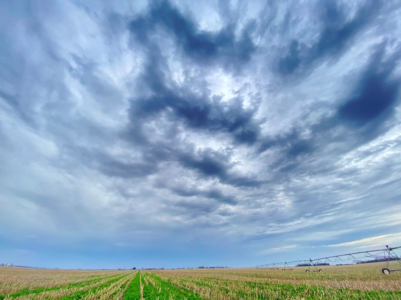 U.S. farm exports to rise to record $183.5 billion in FY 2022
