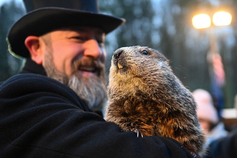 Batten down the hatches: no early spring this year, forecasts groundhog Punxsutawney Phil