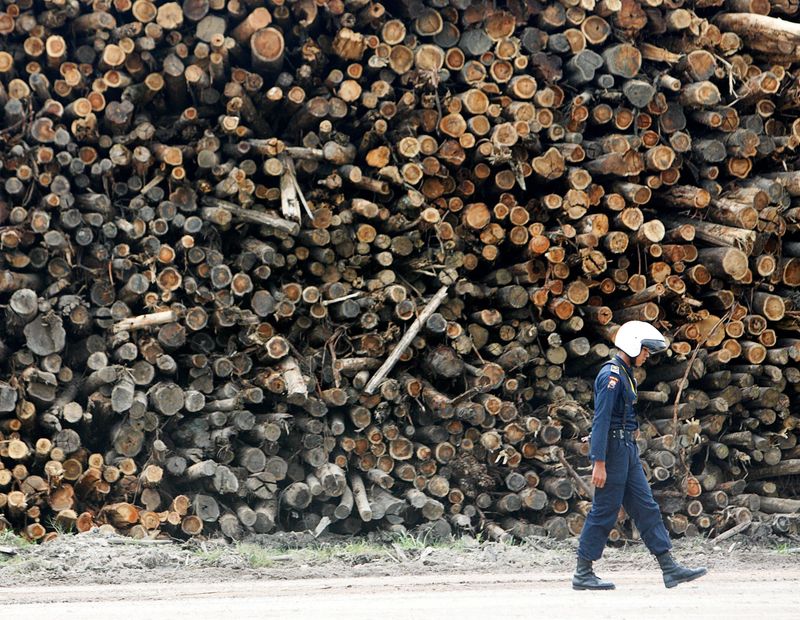 APRIL Group invests $2.3 billion in paperboard factory in Indonesia's Sumatra