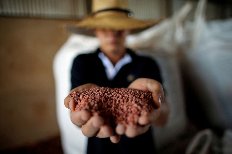 Canadian firm lobbies Brazil for Amazon potash mine permit