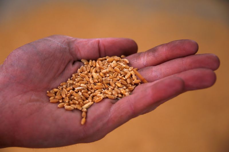 Capacity crunch crimps Australia's war-time commodity bonanza