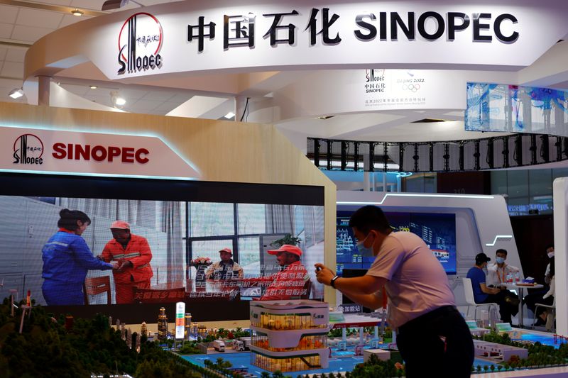 Factbox-China's energy investment in Russia