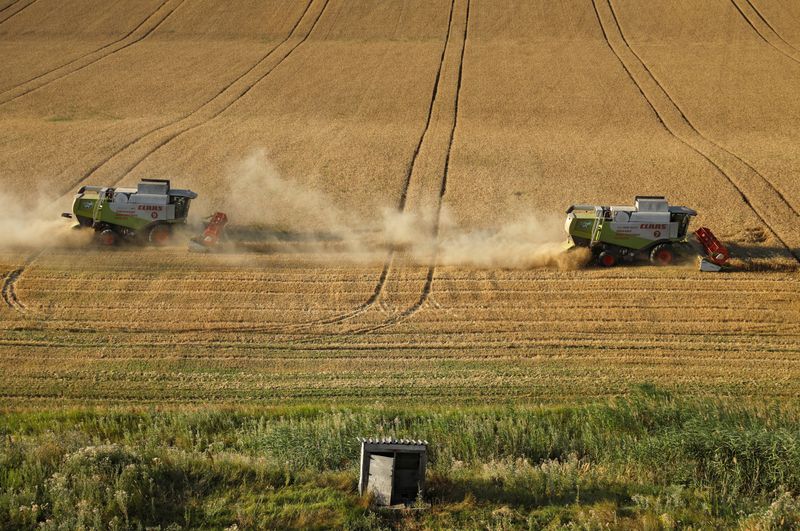 Factbox-Commodities hit multi-year highs on disrupted Russian exports