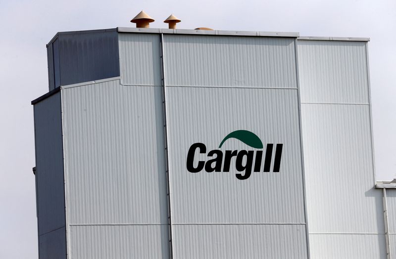 Food giant Cargill to buy $290 million stake in Chile salmon farmer