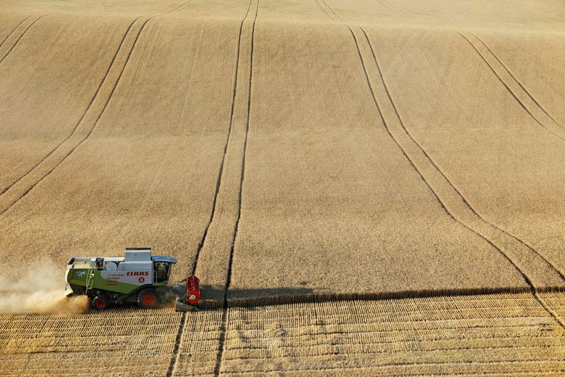 Russia may suspend grain exports until June 30 - Interfax