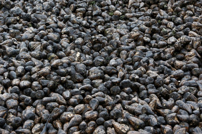 Sugar rush: Russia probes price hikes and 'unjustified' shortages