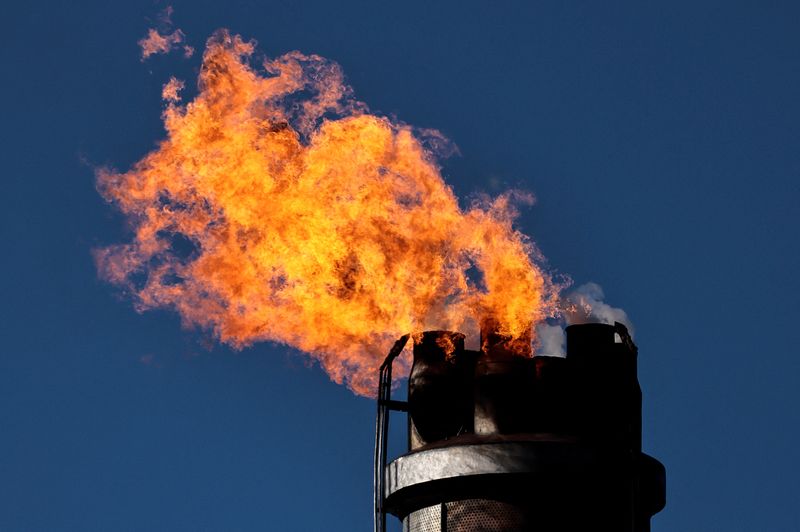Russian energy import stop could cost Germany up to 3% of GDP -economists