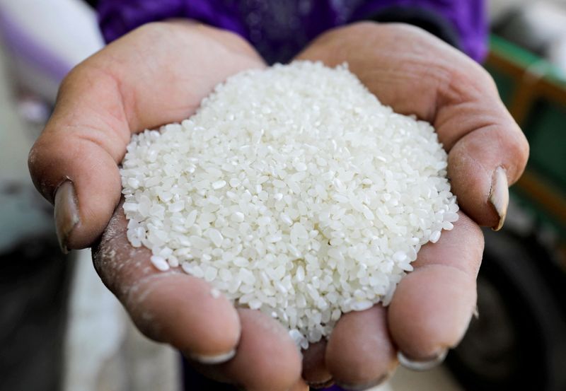 Analysis: Strong Asian rice demand for animal feed sparks food supply worries
