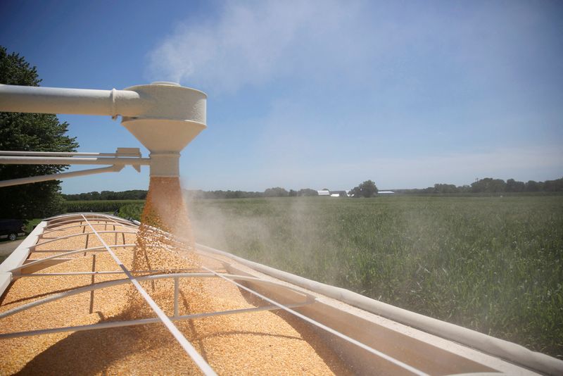 USDA corn plantings forecast falls below expectations