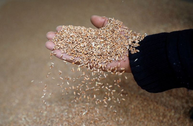Ukraine crisis jeopardises Middle East's Black Sea wheat supply