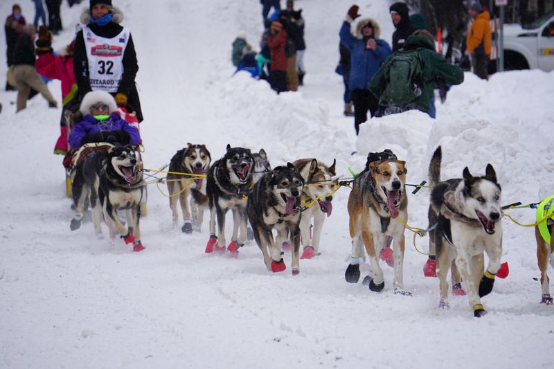 With a nod to climate change, Alaska's Iditarod marks its 50th running