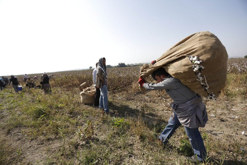 World Bank approves $341 million loan to Turkey for 'green' agriculture