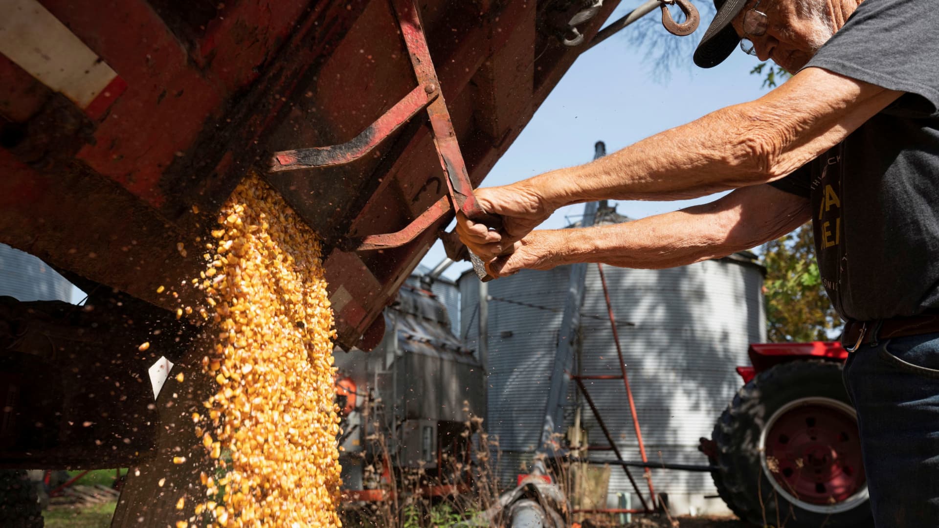 Price of corn hits 9-year high as surge in commodities continues