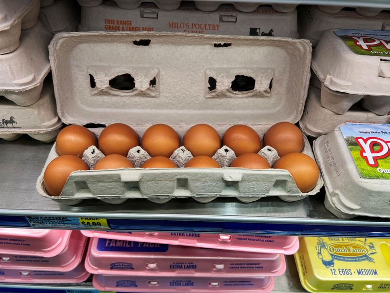 Bird flu, Ukraine war push egg prices higher worldwide
