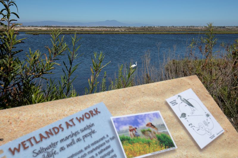 California staff report recommends denial of desalination plant