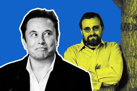Cardano Founder Wants to Build Decentralized Twitter with Elon Musk