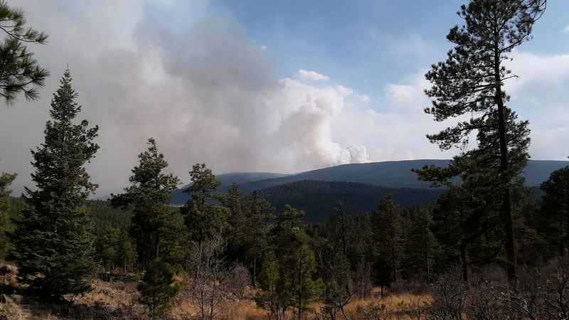 Drought-driven wildfire leaves 'moonscape' in New Mexico