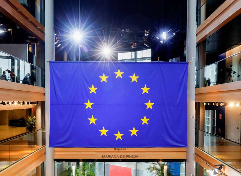 Exclusive-EU Commission proposes big online firms pay 0.1% supervisory fee -document